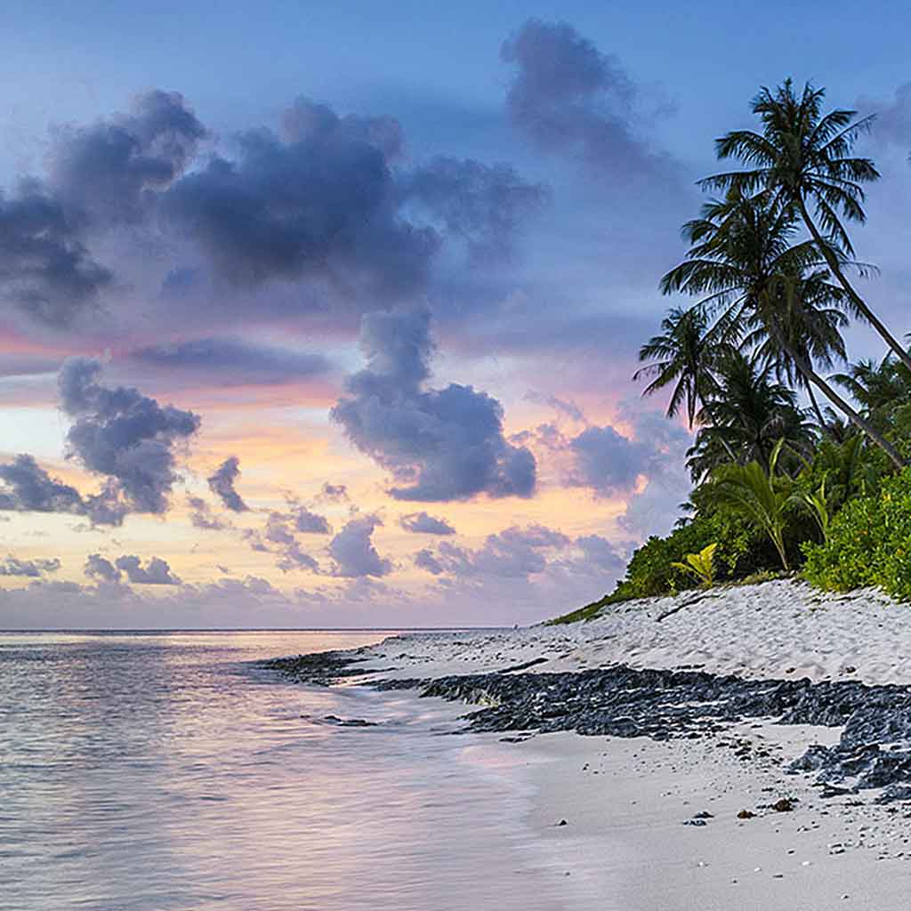 Zoë Bennink - xzoecreates